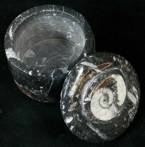 Small Fossil Goniatite Jar (Black) - Stoneware #18001